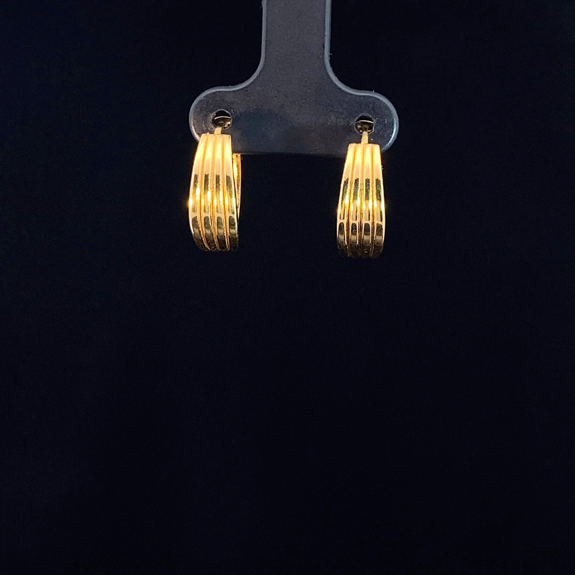22K Earring 2312133